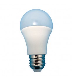 LED LAMP A60 E27 10W 240V WARM WHITE CK