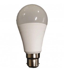 LED LAMP A60 B22 15W 240V DAYLIGHT CK
