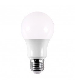 LED LAMP A60 E27 7W 12V DAYLIGHT FSL