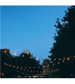 hover image
